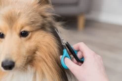 Trixie Gezicht- En Potenschaar Kunststof / Rvs 8 Cm -Hondenbenodigdheden 1200x800 10