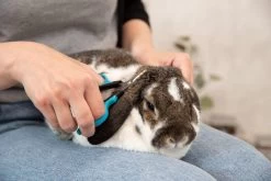 Trixie Gezicht- En Potenschaar Kunststof / Rvs 8 Cm -Hondenbenodigdheden 1200x800 12