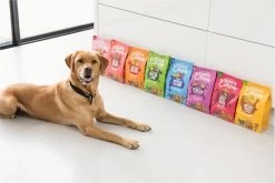 Edgard & Cooper Verse Scharreleend & Kip Puppy - Hondenvoer - 7kg 26 Edgard & Cooper Verse Scharreleend & Kip Puppy - Hondenvoer - 7kg -Hondenbenodigdheden 1200x800 52