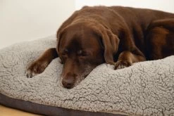 Beeztees Ruba - Orthopedisch Hondenkussen - Grijs - 100x70cm 7 Beeztees Ruba - Orthopedisch Hondenkussen - Grijs - 100x70cm -Hondenbenodigdheden 1200x800 74