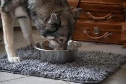 Royal Dry Absorberende Anti-knoeimat Voor Honden – Trekt Vuil Als Een Spons – Laat Geen Vocht Door – 61x45 Cm – Microfiber Chenille – Geschikt Voor Honden En Overige Huisdieren 12 Royal Dry Absorberende Anti-knoeimat Voor Honden – Trekt Vuil Als Een Spons – Laat Geen Vocht Door – 61x45 Cm – Microfiber Chenille – Geschikt Voor Honden En Overige Huisdieren -Hondenbenodigdheden 1200x800 94