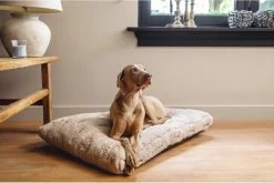 Designed By Lotte Hondenkussen Pluche Xanti Beige 70x 50 X 5 Cm -Hondenbenodigdheden 1200x804 6