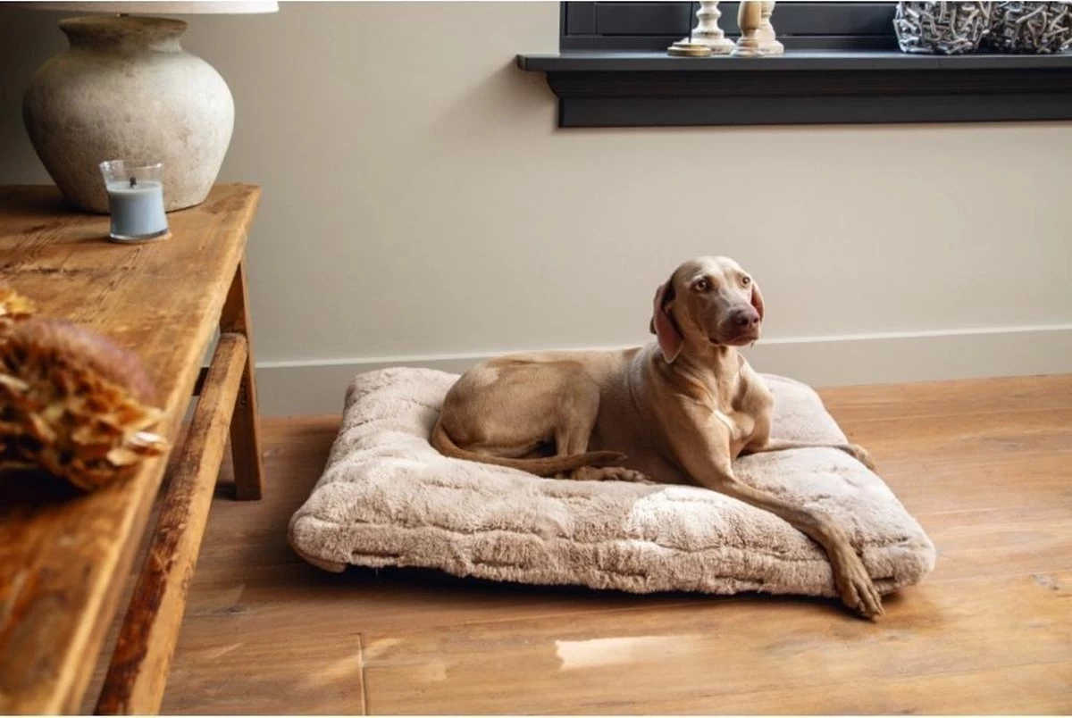 Designed By Lotte Hondenkussen Pluche Xanti Beige 100 X 68 X 5 Cm 4 Designed By Lotte Hondenkussen Pluche Xanti Beige 100 X 68 X 5 Cm - Afbeelding 2