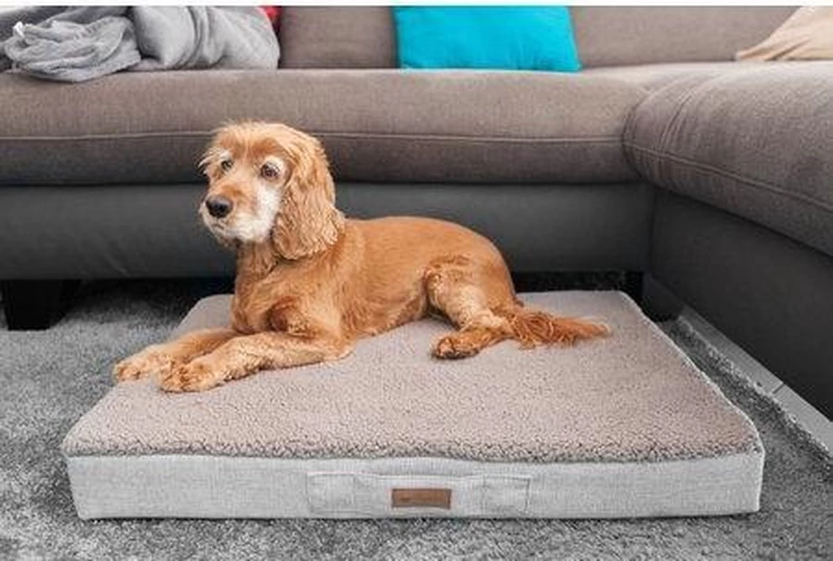 Petlando Orthopedisch Ligbed Merano Stone M - Hond 3 Petlando Orthopedisch Ligbed Merano Stone M - Hond - Afbeelding 2