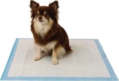 Easypets Puppy Training Pads - Zindelijkheidstraining - Hondentoilet - 58 X 58 Cm - 105 Stuks 10 Easypets Puppy Training Pads - Zindelijkheidstraining - Hondentoilet - 58 X 58 Cm - 105 Stuks -Hondenbenodigdheden 1200x814 1