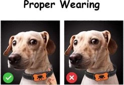 Merkloos Anti Blafband Voor Honden Blafband Anti Blaf Apparaat Blafband Zonder Schok - Diervriendelijk -Hondenbenodigdheden 1200x822