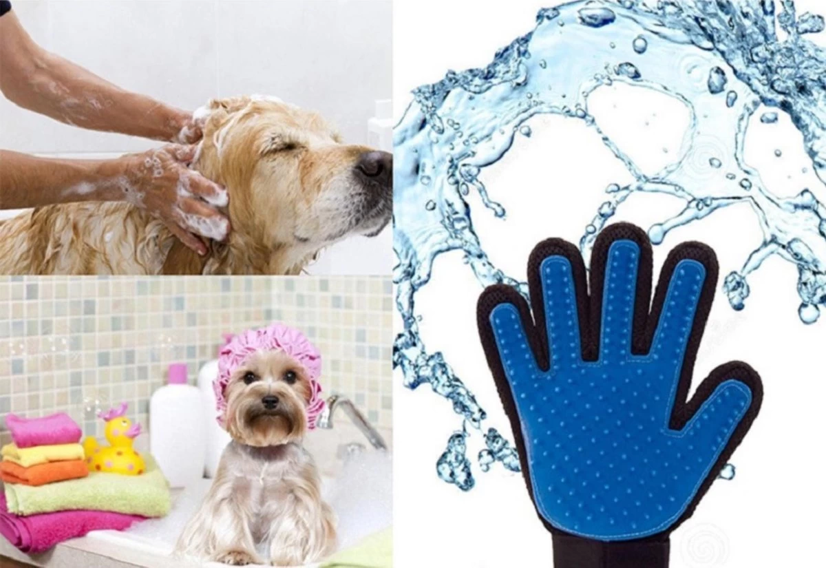 Vacht Verzorgingsborstel Voor Huisdieren - Blauw - LimitedDeals - Voor Honden Katten Konijnen Paarden - Tevens Massage Handschoen Voor Dieren! - Goed Voor De Verzorging Van De Vacht 5 Vacht Verzorgingsborstel Voor Huisdieren - Blauw - LimitedDeals - Voor Honden Katten Konijnen Paarden - Tevens Massage Handschoen Voor Dieren! - Goed Voor De Verzorging Van De Vacht - Afbeelding 3
