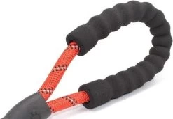 Comfortabele Hondenriem Met Gevoerd Handvat – Stevige Nylon Hondenlijn – Riem Voor Honden -Hondenbenodigdheden 1200x832 1