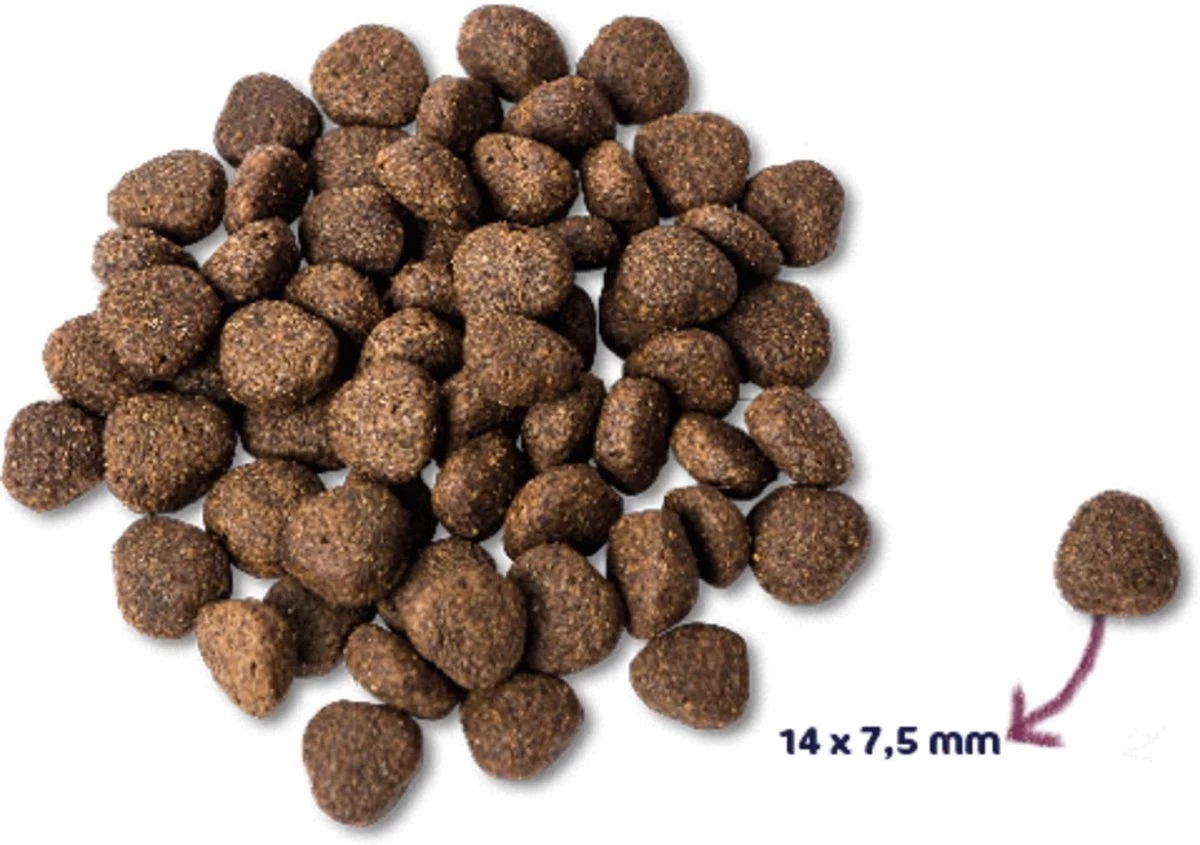 Renske - Super Premium Zalm Graanvrij - Hondenvoer - 12 Kg 6 Renske - Super Premium Zalm Graanvrij - Hondenvoer - 12 Kg - Afbeelding 4