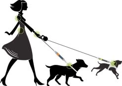 WAW Easy Dog Walk 'schokdemper' Zwart - XL - 25-40 Kg 13 WAW Easy Dog Walk 'schokdemper' Zwart - XL - 25-40 Kg -Hondenbenodigdheden 1200x852 2