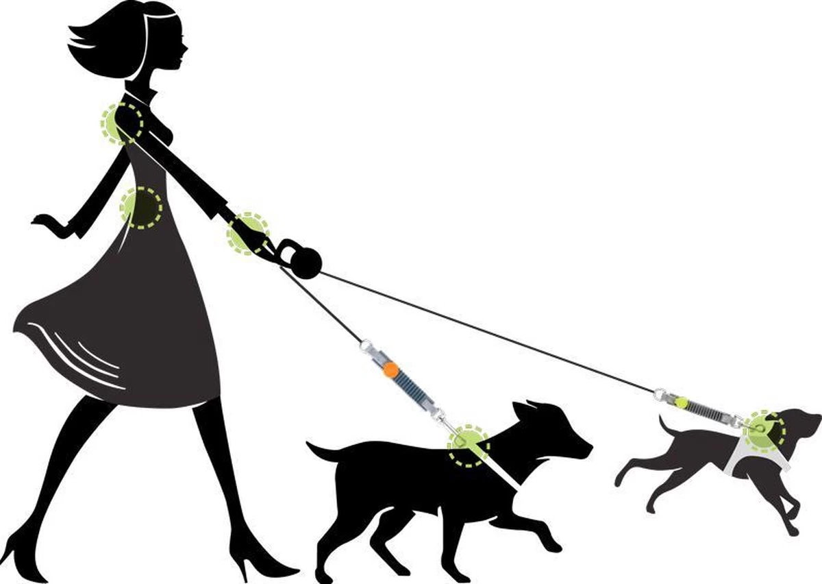 WAW Easy Dog Walk 'schokdemper' Zwart - XL - 25-40 Kg 8 WAW Easy Dog Walk 'schokdemper' Zwart - XL - 25-40 Kg - Afbeelding 6