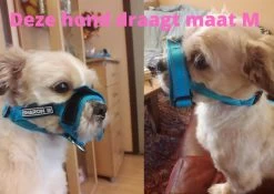 Sharon B Muilkorf Paars Maat M - Fleece - Wasbaar - Reflecterend 14 Sharon B Muilkorf Paars Maat M - Fleece - Wasbaar - Reflecterend -Hondenbenodigdheden 1200x852 3