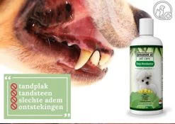 Easy Mondwater Voor Honden - 237 Ml - Tegen Stinkende Adem - Tandplak - Tandsteen - Tandvleesproblemen 16 Easy Mondwater Voor Honden - 237 Ml - Tegen Stinkende Adem - Tandplak - Tandsteen - Tandvleesproblemen -Hondenbenodigdheden 1200x852 8
