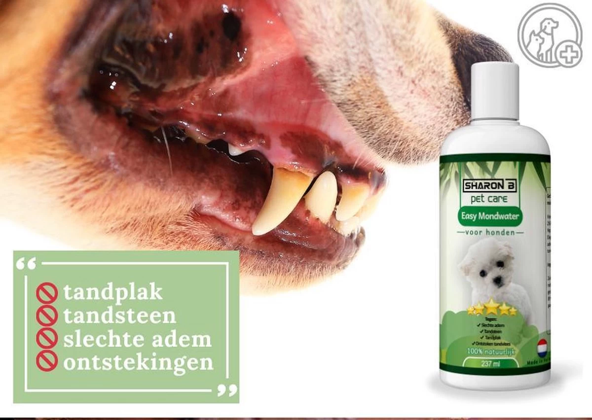 Easy Mondwater Voor Honden - 237 Ml - Tegen Stinkende Adem - Tandplak - Tandsteen - Tandvleesproblemen 9 Easy Mondwater Voor Honden - 237 Ml - Tegen Stinkende Adem - Tandplak - Tandsteen - Tandvleesproblemen - Afbeelding 7
