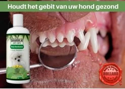 Easy Mondwater Voor Honden - 237 Ml - Tegen Stinkende Adem - Tandplak - Tandsteen - Tandvleesproblemen 17 Easy Mondwater Voor Honden - 237 Ml - Tegen Stinkende Adem - Tandplak - Tandsteen - Tandvleesproblemen -Hondenbenodigdheden 1200x852 9