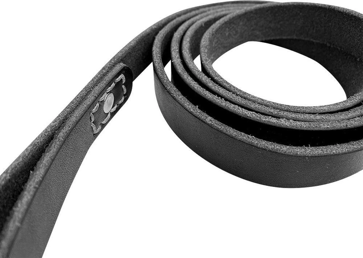 Hondenriem - 220cm – Zwarte Riem - Leren Hondenriem Met Stiksels – 100% Volnerfleer - Hond - Leer - Leder 4 Hondenriem - 220cm – Zwarte Riem - Leren Hondenriem Met Stiksels – 100% Volnerfleer - Hond - Leer - Leder - Afbeelding 2