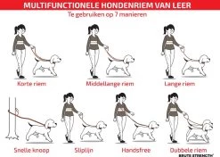 Multifunctionele Hondenriem - 220cm - Bruin - Leren Hondenriem - 100% Volnerfleer - Hondenriem Leer - Leiband Hond 15 Multifunctionele Hondenriem - 220cm - Bruin - Leren Hondenriem - 100% Volnerfleer - Hondenriem Leer - Leiband Hond -Hondenbenodigdheden 1200x853
