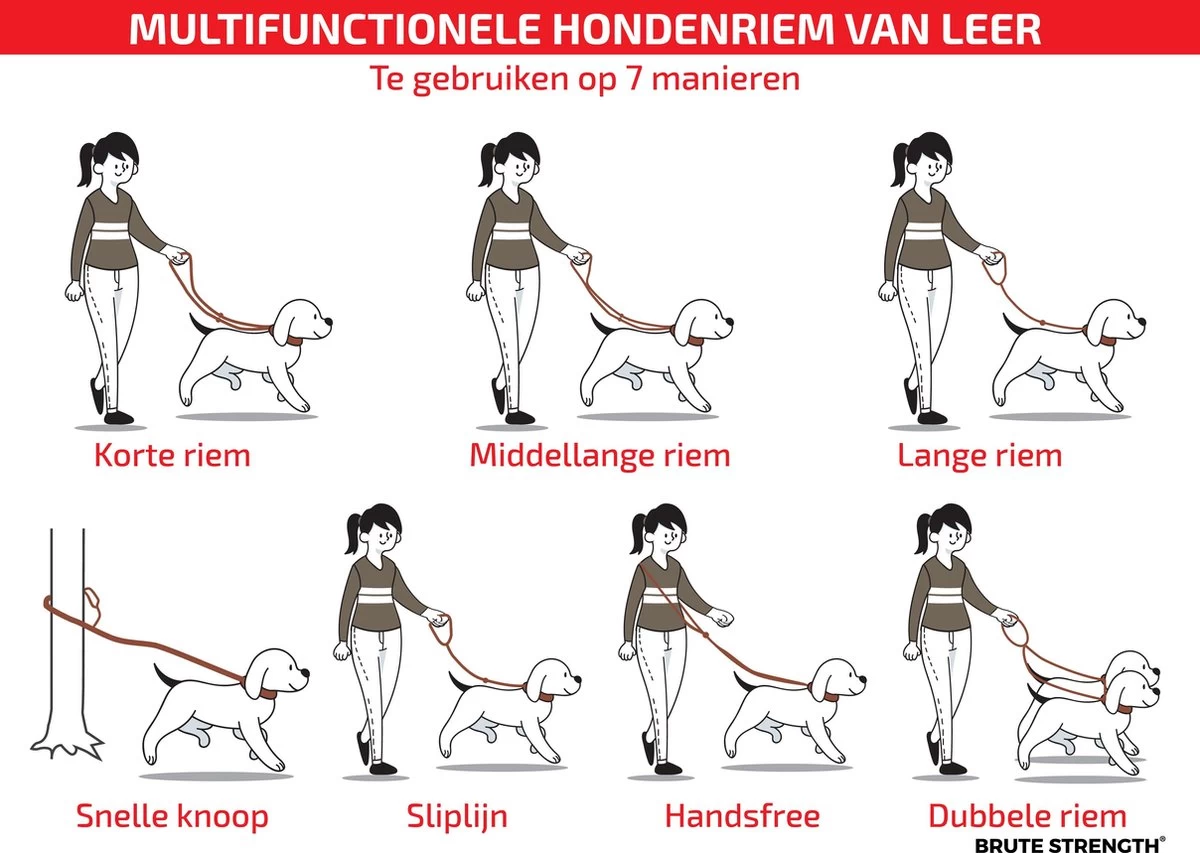 Multifunctionele Hondenriem - 220cm - Bruin - Leren Hondenriem - 100% Volnerfleer - Hondenriem Leer - Leiband Hond 6 Multifunctionele Hondenriem - 220cm - Bruin - Leren Hondenriem - 100% Volnerfleer - Hondenriem Leer - Leiband Hond - Afbeelding 4