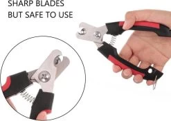 Nagelschaar Voor Dieren- Nagelknipper- Kat- Hond- Vogel Nagelschaartje - Huisdieren - Nail Clipper- Nail Cutter -Hondenbenodigdheden 1200x857 1