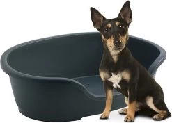 Flamingo - Hondenmand Domus - S - Zwart - 50/58 X 38 X 20 Cm -Hondenbenodigdheden 1200x861 1