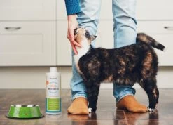 OxyFresh Pet Mondwater Hond En Kat. Helpt Tegen Tandsteen, Plak En Vieze Ademgeurtjes -Hondenbenodigdheden 1200x864 8
