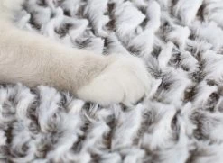 Merkloos Zelfverwarmende Dierendeken Zonder Stroom Thermo Deken Hond Kat Inclusief Adreslabel 70 X 47 Cm 16 Merkloos Zelfverwarmende Dierendeken Zonder Stroom Thermo Deken Hond Kat Inclusief Adreslabel 70 X 47 Cm -Hondenbenodigdheden 1200x878 1