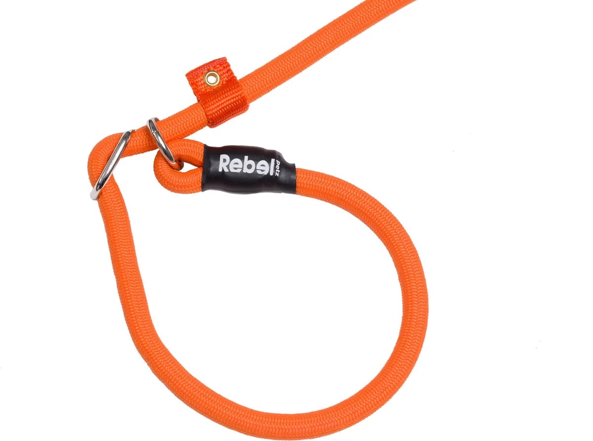 Rebel Petz - Honden Trainingslijn Met Halsband - Taupe, Zwart, Groen & Oranje - Maat Small Of Large - Kleur: Oranje, Maat: Large 20 Rebel Petz - Honden Trainingslijn Met Halsband - Taupe, Zwart, Groen & Oranje - Maat Small Of Large - Kleur: Oranje, Maat: Large - Afbeelding 18
