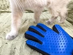 Vacht Verzorgingsborstel Voor Huisdieren - Blauw - LimitedDeals - Voor Honden Katten Konijnen Paarden - Tevens Massage Handschoen Voor Dieren! - Goed Voor De Verzorging Van De Vacht 19 Vacht Verzorgingsborstel Voor Huisdieren - Blauw - LimitedDeals - Voor Honden Katten Konijnen Paarden - Tevens Massage Handschoen Voor Dieren! - Goed Voor De Verzorging Van De Vacht -Hondenbenodigdheden 1200x897