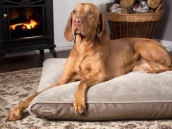 Scruffs Chateau - Hondenbed Orthopedisch Met Memory Foam Voor Extra Steun Voor Rug En Gewrichten - Grijs & Bruin Maat M/L - Kleur: Grijs, Maat: Large 29 Scruffs Chateau - Hondenbed Orthopedisch Met Memory Foam Voor Extra Steun Voor Rug En Gewrichten - Grijs & Bruin Maat M/L - Kleur: Grijs, Maat: Large -Hondenbenodigdheden 1200x898 5