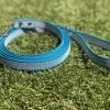 Merkloos Hondenriem - Antislip Lijn - 3 Meter - Turquoise - Training - Anti Slip - Volglijn - Looplijn - Speurlijn - Puppy 1 Merkloos Hondenriem - Antislip Lijn - 3 Meter - Turquoise - Training - Anti Slip - Volglijn - Looplijn - Speurlijn - Puppy -Hondenbenodigdheden 1200x899 9