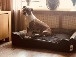 Hondenmand Cordura XXXL – Donkergrijs - 125 X 90 X 24 Cm 15 Hondenmand Cordura XXXL – Donkergrijs - 125 X 90 X 24 Cm -Hondenbenodigdheden 1200x900 26