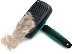 ElegaPet Hondenborstel Groen - Hondenhaar Verwijderen - Kat En Hondenkam - Slickerborstel Hond En Kat - Groomer - Ondervacht Kam Hond - Borstel Hond - Hondenborstel Langharig En Kortharig - Slickerborstel - Anti Klit/Knopen/Huidschilfers 14 ElegaPet Hondenborstel Groen - Hondenhaar Verwijderen - Kat En Hondenkam - Slickerborstel Hond En Kat - Groomer - Ondervacht Kam Hond - Borstel Hond - Hondenborstel Langharig En Kortharig - Slickerborstel - Anti Klit/Knopen/Huidschilfers -Hondenbenodigdheden 1200x902