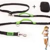 Filo Elastische Hondenriem Groot - Hardlopen En Wandelen - Hardloopriem Hond Handsfree Met Heuptasje - Looplijn Met Heupriem - Canicross Gordel Honden - Riemen - Heupgordel - Leiband 2 Filo Elastische Hondenriem Groot - Hardlopen En Wandelen - Hardloopriem Hond Handsfree Met Heuptasje - Looplijn Met Heupriem - Canicross Gordel Honden - Riemen - Heupgordel - Leiband -Hondenbenodigdheden 1200x908
