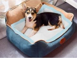 Nobleza 48LXB - Puppy Training Pads - 60 X 90 Cm - Zindelijkheidstraining - 100 Stuks -Hondenbenodigdheden 1200x911 2
