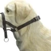 Beeztees Dog Control - Halsband Hond - Zwart - L 1 Beeztees Dog Control - Halsband Hond - Zwart - L -Hondenbenodigdheden 1200x917 4