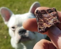 Topdiervoeding Lamslong Hondensnacks - Vers Gedroogd - Knapperig - 1 KG 11 Topdiervoeding Lamslong Hondensnacks - Vers Gedroogd - Knapperig - 1 KG -Hondenbenodigdheden 1200x960 6