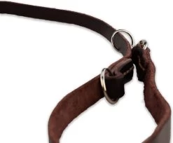 Multifunctionele Hondenriem - 220cm - Bruin - Leren Hondenriem - 100% Volnerfleer - Hondenriem Leer - Leiband Hond 17 Multifunctionele Hondenriem - 220cm - Bruin - Leren Hondenriem - 100% Volnerfleer - Hondenriem Leer - Leiband Hond -Hondenbenodigdheden 1200x993