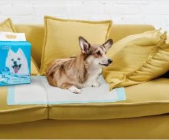 Nobleza 48LXB - Puppy Training Pads - 60 X 90 Cm - Zindelijkheidstraining - 100 Stuks -Hondenbenodigdheden 1200x997 2