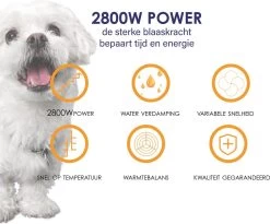 Forgoods Professionele Hondenfohn - Waterblazer Voor Honden - Hondenfohn Met 4 Opzetstukken - 2800W Verstelbaar Vermogen - Roze -Hondenbenodigdheden 1200x997