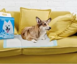 Nobleza 48LXE - Puppy Training Pads - 60 X 90 Cm - Zindelijkheidstraining - 120 Stuks 15 Nobleza 48LXE - Puppy Training Pads - 60 X 90 Cm - Zindelijkheidstraining - 120 Stuks -Hondenbenodigdheden 1200x997 4