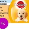 Pedigree Pouch Junior Multipack - Hondenvoer - 4 X 12x100 G -Hondenbenodigdheden 1200x997 5