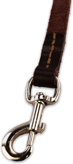 Multifunctionele Hondenriem - 220cm - Bruin - Leren Hondenriem - 100% Volnerfleer - Hondenriem Leer - Leiband Hond 14 Multifunctionele Hondenriem - 220cm - Bruin - Leren Hondenriem - 100% Volnerfleer - Hondenriem Leer - Leiband Hond -Hondenbenodigdheden 536x1200 1