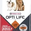VERSELE-LAGA Opti Life Adult Digestion Medium & Maxi - 12,5 Kg 1 VERSELE-LAGA Opti Life Adult Digestion Medium & Maxi - 12,5 Kg -Hondenbenodigdheden 584x1200 2