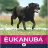 Eukanuba Dog Mature & Senior - Large Breed - Kip - Hondenvoer - 15 Kg -Hondenbenodigdheden 607x1200