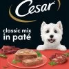 Cesar Classic Mix Paté Hondenvoer Maaltijdkuipjes 24 X 150 G -Hondenbenodigdheden 697x1200