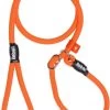 Rebel Petz - Honden Trainingslijn Met Halsband - Taupe, Zwart, Groen & Oranje - Maat Small Of Large - Kleur: Oranje, Maat: Large 2 Rebel Petz - Honden Trainingslijn Met Halsband - Taupe, Zwart, Groen & Oranje - Maat Small Of Large - Kleur: Oranje, Maat: Large -Hondenbenodigdheden 706x1200