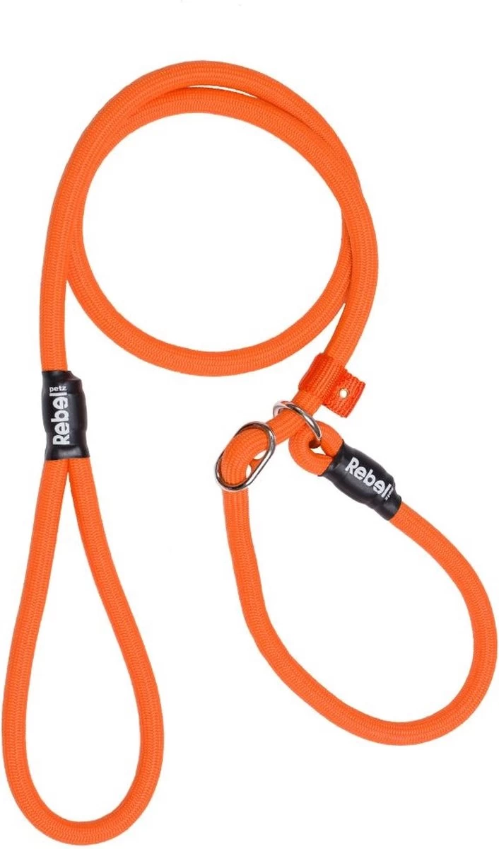 Rebel Petz - Honden Trainingslijn Met Halsband - Taupe, Zwart, Groen & Oranje - Maat Small Of Large - Kleur: Oranje, Maat: Large 3 Rebel Petz - Honden Trainingslijn Met Halsband - Taupe, Zwart, Groen & Oranje - Maat Small Of Large - Kleur: Oranje, Maat: Large