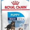Royal Canin Maxi Puppy - Hondenvoer - 15 Kg -Hondenbenodigdheden 713x1200 3