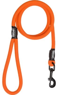 Rebel Petz - Sterke Gevlochten Hondenlijn Van Touw - Kleur: Oranje, Maat: Large 30 Rebel Petz - Sterke Gevlochten Hondenlijn Van Touw - Kleur: Oranje, Maat: Large -Hondenbenodigdheden 730x1200