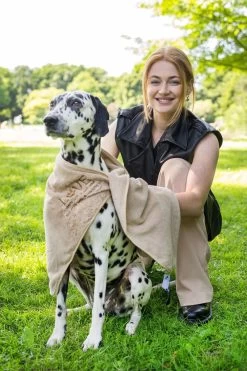 Pepets© – Hondenhanddoek – Honden Handdoek – Microvezel Handdoek – Handdoek Hond – Hondendeken – Droogdoek Hond – Dierendeken – Absorberend – 100*50CM - Beige - GRATIS Zonnebril -Hondenbenodigdheden 800x1200 3